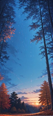 Canopy Blue Sunset Nature Autumn mobile wallpaper / スマホ壁紙